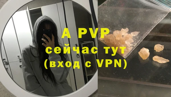 PSILOCYBIN Няндома