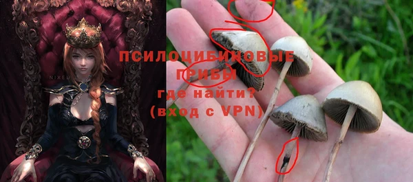 соль курить ск Нязепетровск