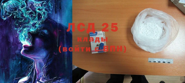 PSILOCYBIN Няндома