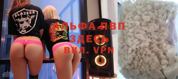 PSILOCYBIN Няндома