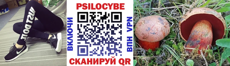 Галлюциногенные грибы Psilocybe  Купить где  Устюжна 